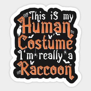 This Is My Human Costume I'm Really A Raccoon - Halloween print Sticker